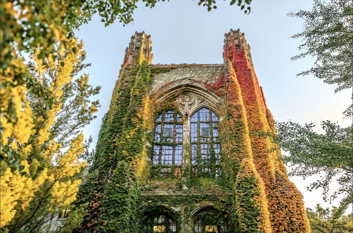  Northwestern saw increases in the student enrollment of historically underrepresented groups in the Class of 2028.